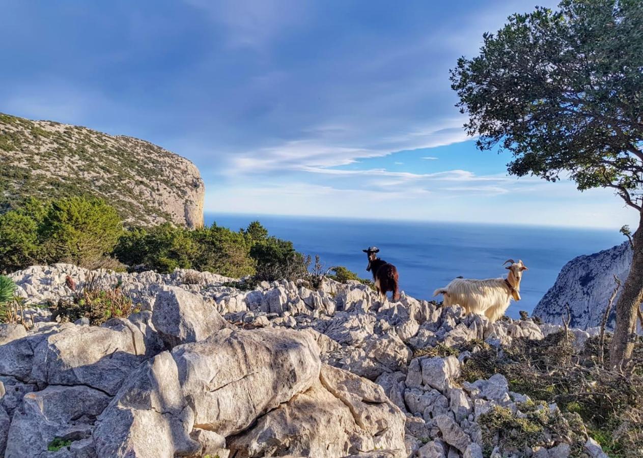 Appartamento Tra Mare E Montagna Baunei Εξωτερικό φωτογραφία